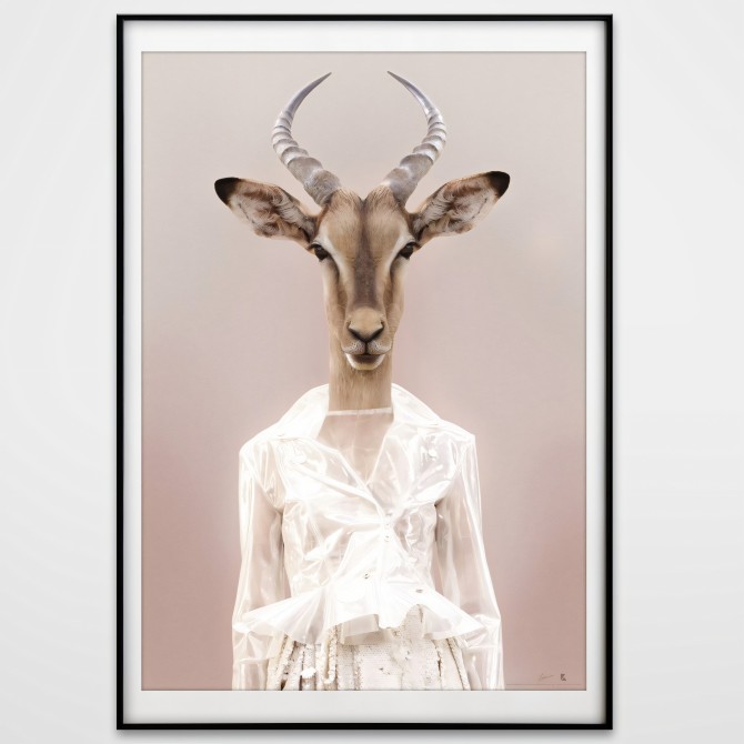 Modelo Gacela Impresión en póster fotográfico para decorar tus espacios con un espectacular diseño de una gacela fashion