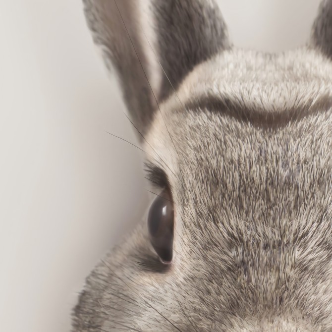 Rabbit Model-poster-detail-washable-model-for-interior-exterior-complement-decoration-modern-children's-walls-lokoloko