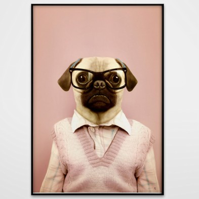 Pug Model-poster-washable-for-exterior-interior-dog-decoration-fun-original-modern-style-lokoloko