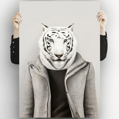 Poster Tigre Blanco Albino retratado con ropa cool, impreso en tintas ecologicas