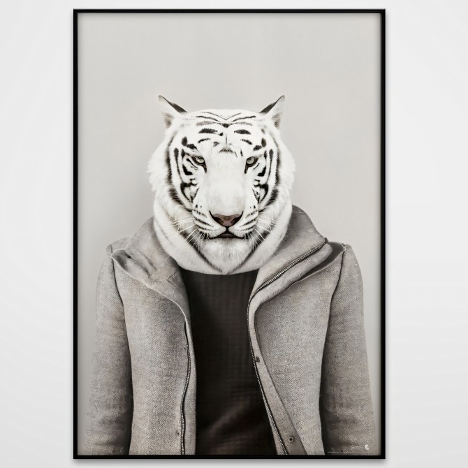 Modelo Tigre Albino-poster-lavable-para-exterior-interior-decoracion-divertida-original-estilo-moderno-lokoloko
