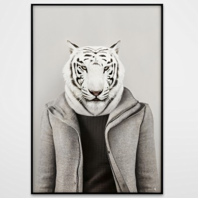 Modelo Tigre Albino-poster-lavable-para-exterior-interior-decoracion-divertida-original-estilo-moderno-lokoloko