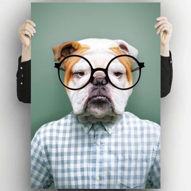 Bulldog model-poster-washable-exterior-interior-walls-frames-paintings-modern-style-lokoloko