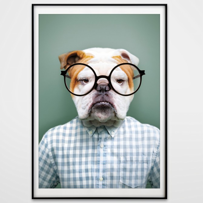 Bulldog model-poster-washable-exterior-interior-walls-frames-paintings-modern-style-lokoloko