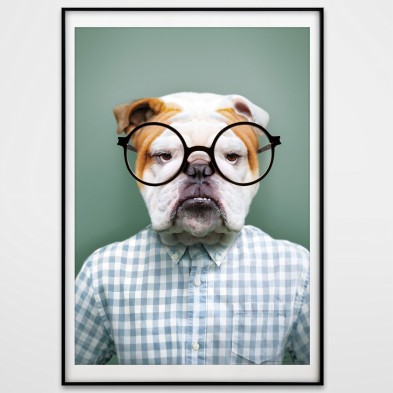 Modelo Bulldog-poster-lavable-exterior-interior-paredes-marcos-cuadros-estilo-moderno-lokoloko