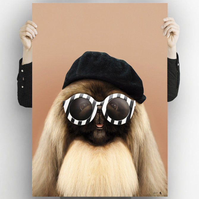 Little Dog Model-Model Perrita-poster-washable-for-exterior-interior-dog-decoration-fun-original-style-modern-lokoloko