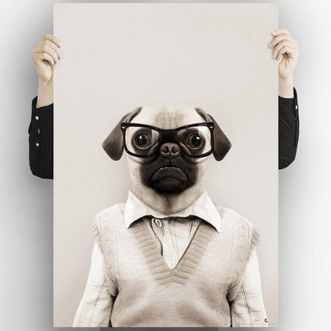 Light Pug Model-washable-poster-for-exterior-interior-dog-decoration-fun-original-modern-style-lokoloko