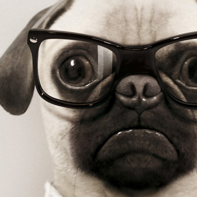 Light Pug Model-washable-poster-for-exterior-interior-dog-decoration-fun-original-modern-style-lokoloko