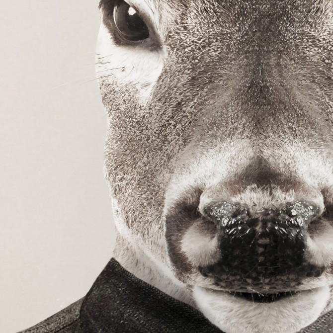 Deer-model-poster-washable-model-for-interior-exterior-modern-animal-dress-lokoloko