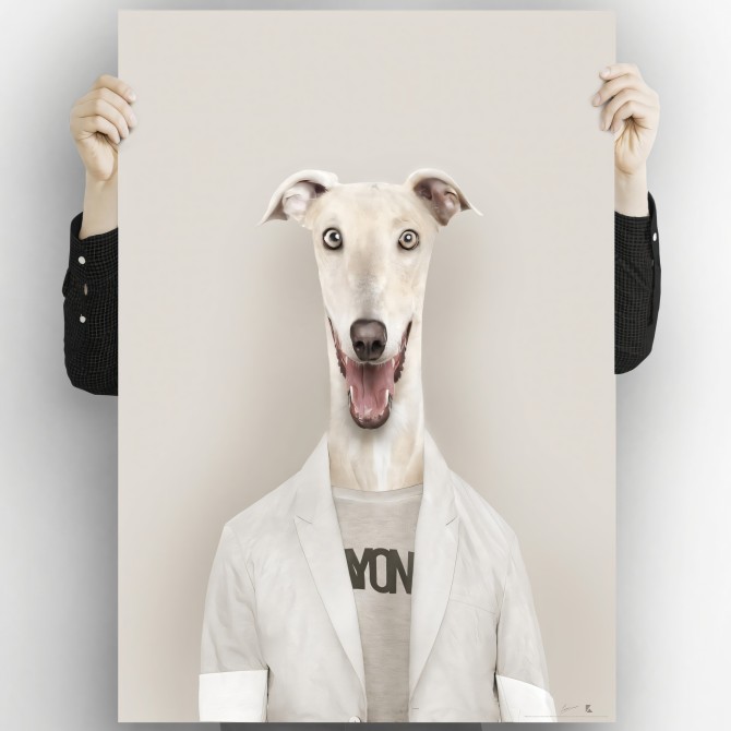 Modelo Galgo-poster-lavable-alta-calidad-para-interior-exterior-decoracion-moderna-original-lokoloko