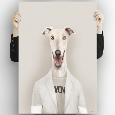 Modelo Galgo-poster-lavable-alta-calidad-para-interior-exterior-decoracion-moderna-original-lokoloko
