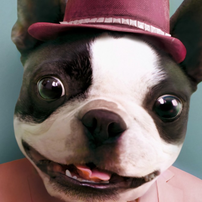 Modelo Perrito Molón 2-poster-lavable-para-exterior-interior-perro-decoracion-divertida-original-estilo-moderno-lokoloko