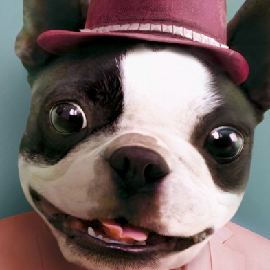 Cool Dog Model 2-poster-washable-for-exterior-interior-dog-decoration-fun-original-modern-style-lokoloko