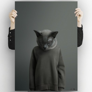 Modelo Gato Chartreux-poster-lavable-alta-calidad-para-interior-exterior-decoracion-moderna-original-lokoloko