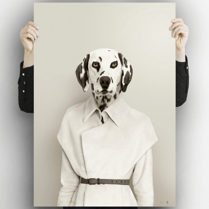 Modelo Dálmata 2-poster-lavable-para-interior-exterior-paredes-estilo-moderno-minimalista-perros-lokoloko