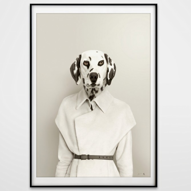Modelo Dálmata 2-poster-lavable-para-interior-exterior-paredes-estilo-moderno-minimalista-perros-lokoloko