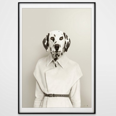 Modelo Dálmata 2-poster-lavable-para-interior-exterior-paredes-estilo-moderno-minimalista-perros-lokoloko