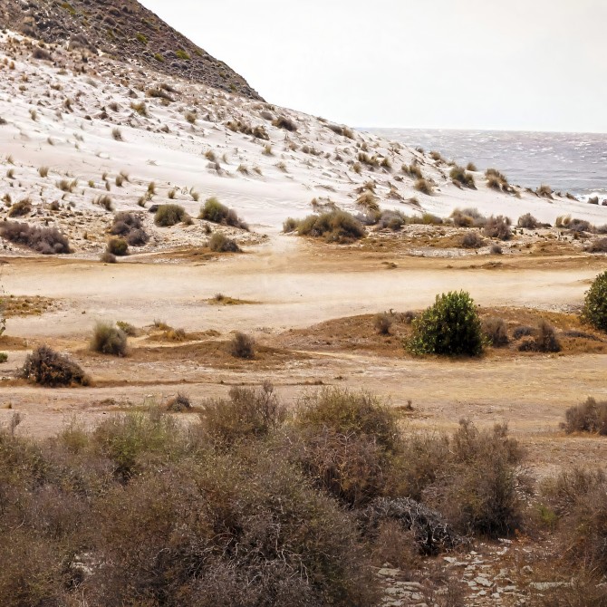 Póster fotográfico en papel ecológico texturizado de la playa de Mónsul con su duna fosil. Cabo de Gata, tonos tierras. Lokoloko