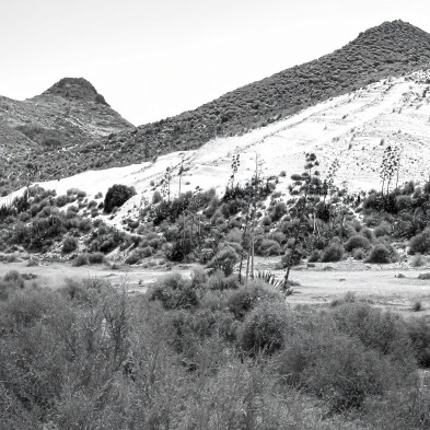 Photographic poster on textured eco-friendly wallpaper of Monsul Beach with Fossil Dune, Black & white. Lokoloko