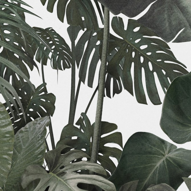 Jardin Botánico - Vinilo autoadhesivo lavable para muebles y paredes. Lokoloko