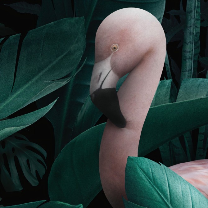 Paradiso - Papel pintado pared ecológico autoadhesivo paredes salón dormitorios - Flamencos hojas grandes - Lokoloko