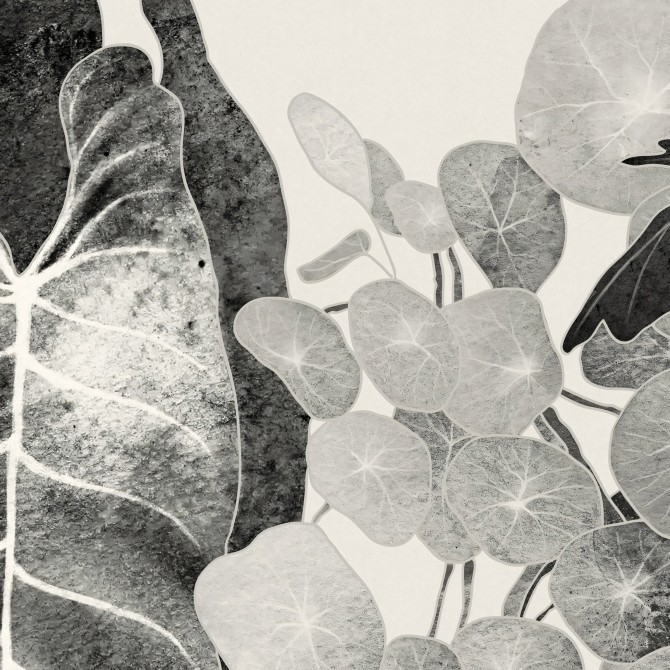Tropicalia Black & White - Self-adhesive Eco-friendly PVC-free wallpaper.