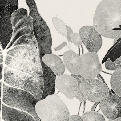 Tropicalia Blanco y Negro - Papel de pared autoadhesivo ecológico sin PVC