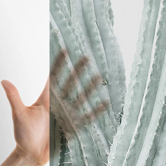Cactarium - Translucent self-adhesive vinyl sticker for glass and windows. Detail. Lokoloko