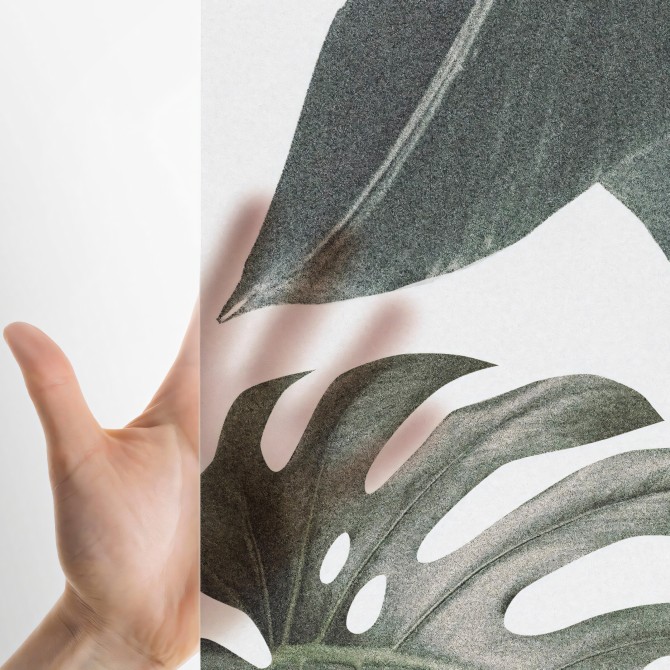 Botanical Garden - Translucent self-adhesive vinyl sticker for glass and windows. Ecological ink. Grey, green. Lokoloko