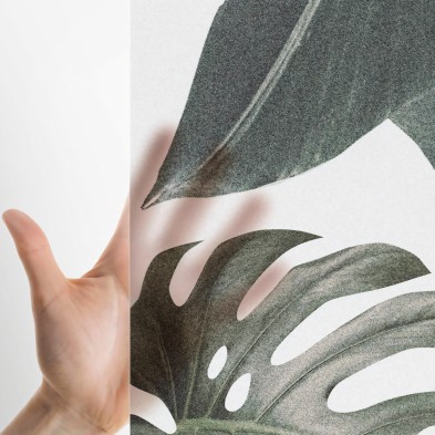 Botanical Garden - Translucent self-adhesive vinyl sticker for glass and windows. Ecological ink. Grey, green. Lokoloko