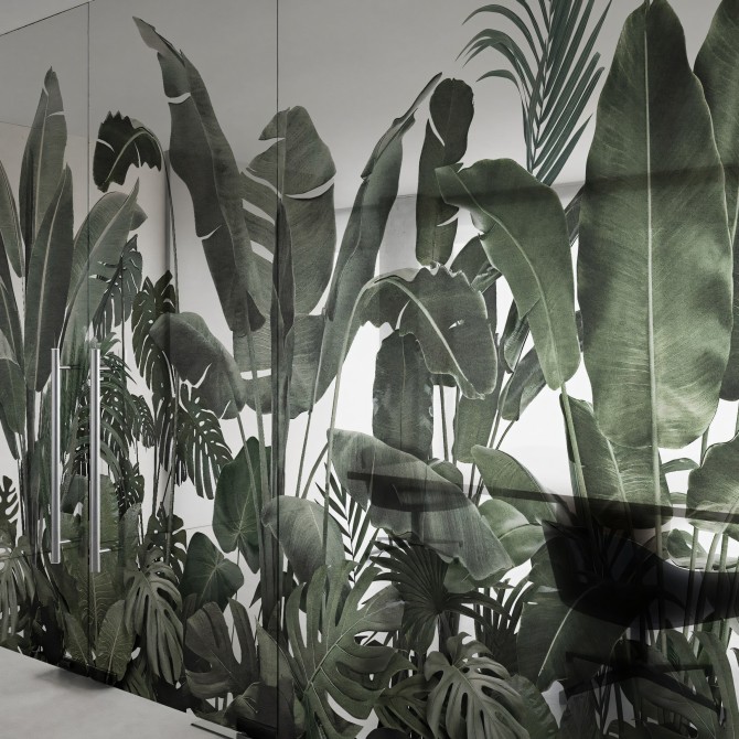 Jardín Botánico - Mural de vinilo transparente autoadhesivo lavable para tabiques de cristal separador de oficinas. Lokoloko