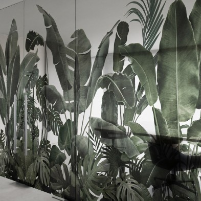 Jardín Botánico - Mural de vinilo transparente autoadhesivo lavable para tabiques de cristal separador de oficinas. Lokoloko