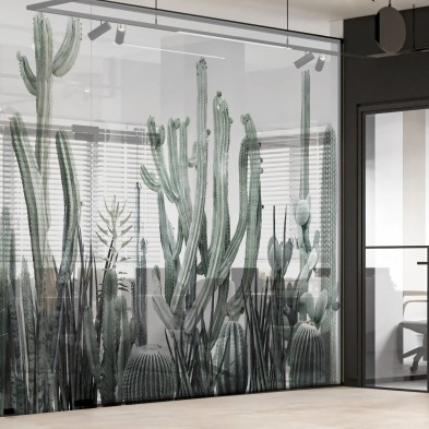 Cactarium - Mural Vinilo transparente autoadhesivo lavable para tabiques de cristal separades de oficinas. Lokoloko