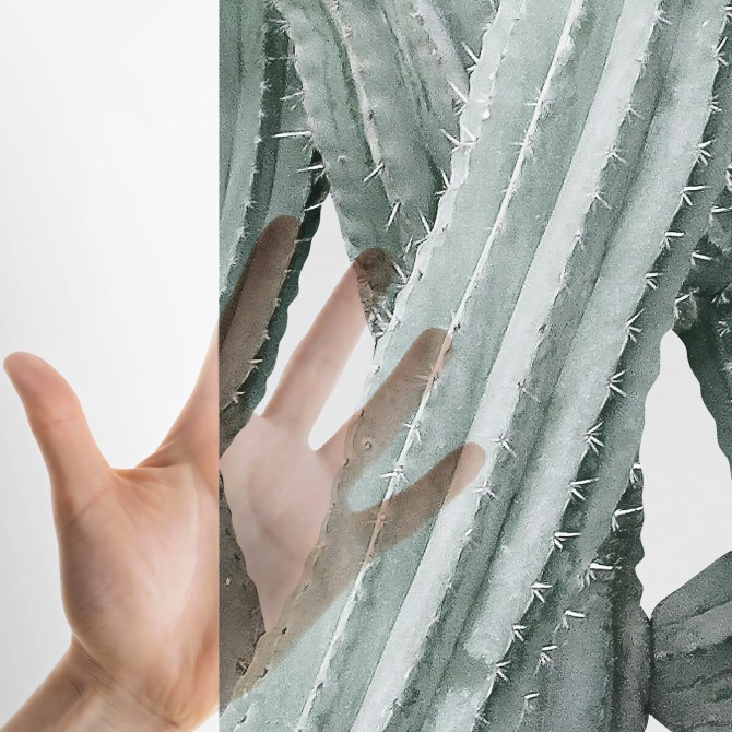 Cactarium - Transparent self-adhesive vinyl sticker for glass and windows. Detail. Lokoloko