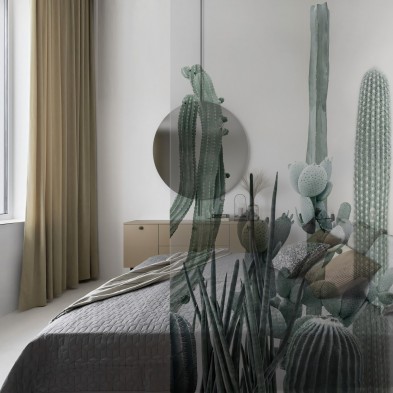Cactarium - Mural Vinilo transparente autoadhesivo lavable para tabiques cristal dormitorio. Lokoloko