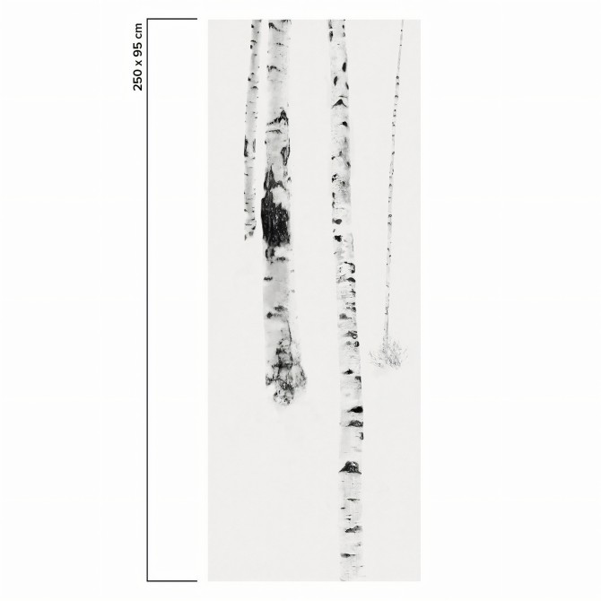 Birch es un mural con bosque de abedules. Profundidad para pared lisa y muebles. Blanco y negro. Papel eco. Pieza 2. Lokoloko