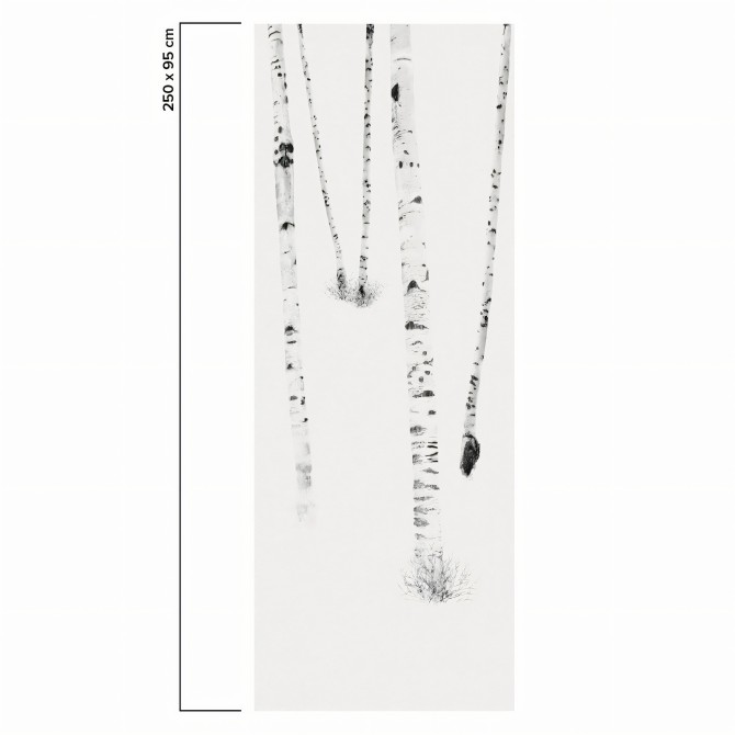 Birch es un mural con bosque de abedules. Profundidad para pared lisa y muebles. Blanco y negro. Papel eco. Pieza 3. Lokoloko