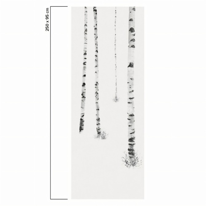 Birch is a mural with a birch forest. Depth for smooth wall and furniture. Black and white. Eco paper. Piece 4. Lokoloko