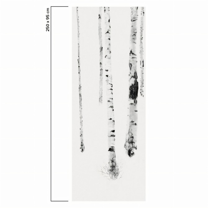 Birch es un mural con bosque de abedules. Profundidad para pared lisa y muebles. Blanco y negro. Papel eco. Pieza 6. Lokoloko