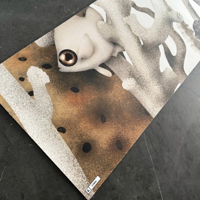Producto muestras: Vinilo para muebles y  paredes o Papel de pared ECO