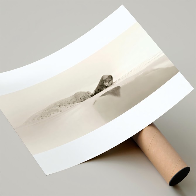 Photographic poster on textured eco-friendly wallpaper of Mónsul beach in the Cabo de Gata Natural Park, Almería. Sepia tone.