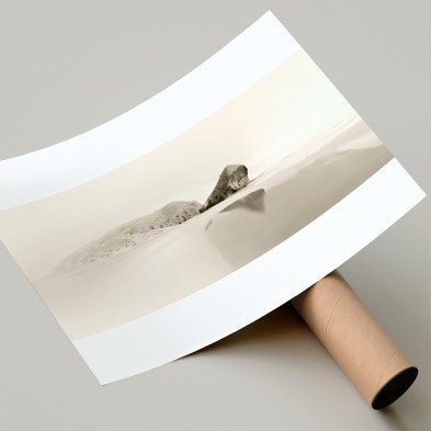 Photographic poster on textured eco-friendly wallpaper of Mónsul beach in the Cabo de Gata Natural Park, Almería. Sepia tone.