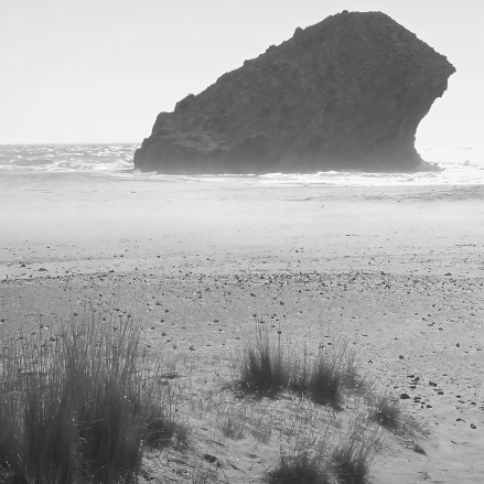 Photographic poster on textured eco-friendly wallpaper of Monsul Beach Cabo de gata, Black & white. Lokoloko