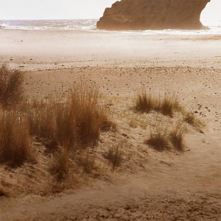 Photographic poster on textured eco-friendly wallpaper of Monsul Beach Cabo de gata, earth tones. Lokoloko