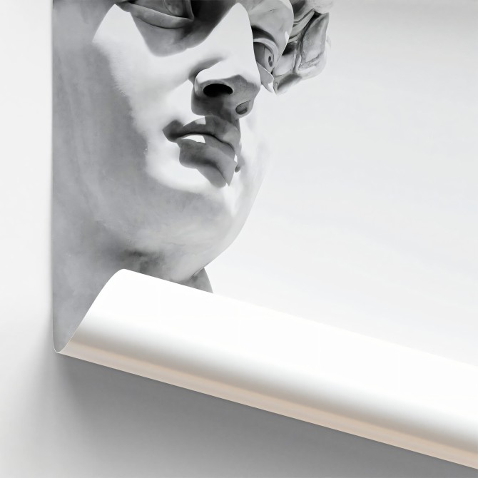 Póster detalle del David de Miguel Angel