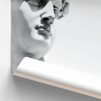 Póster detalle del David de Miguel Angel