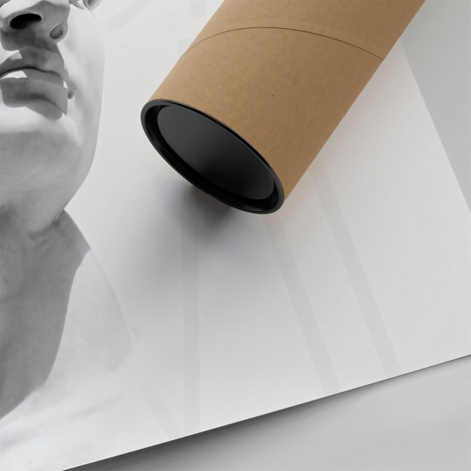 Póster detalle del David de Miguel Angel
