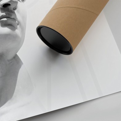 Póster detalle del David de Miguel Angel