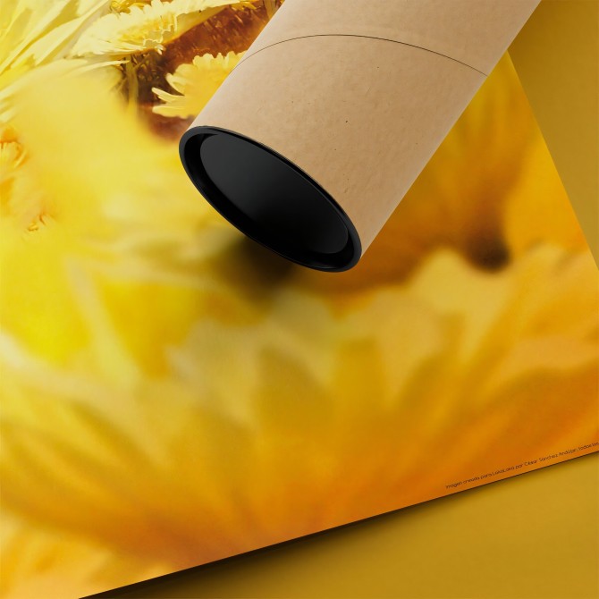 Póster infantil. Un día de sol