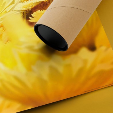 Póster infantil. Un día de sol